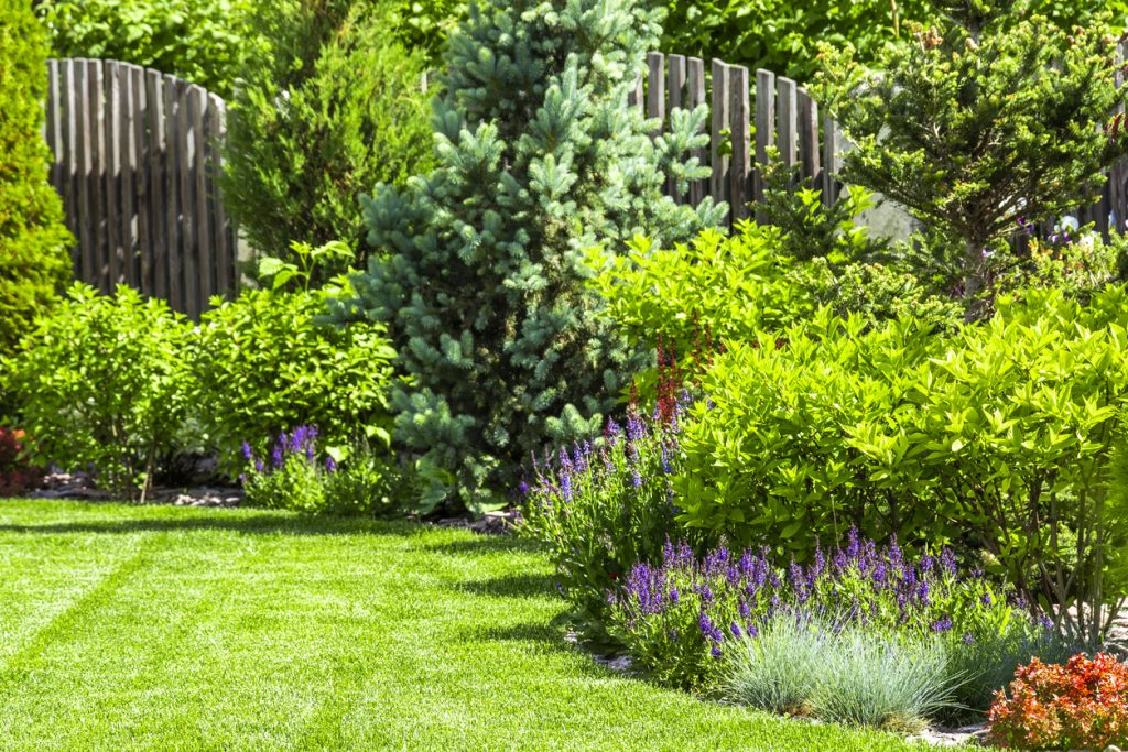 Add some greenery to enhance your outdoor space